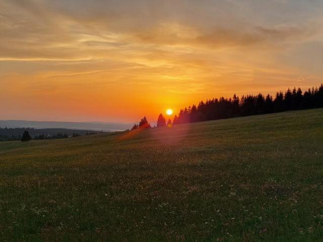Landgasthof Neitsch Шварценберг Екстериор снимка